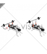 Barbell Lying Triceps Extension (female)