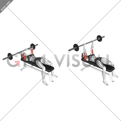 Barbell Lying Triceps Extension (female)