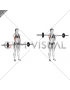 Barbell Standing Close Grip Curl (female)