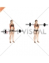 Barbell Standing Close Grip Curl (female)