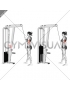 Cable Standing One Arm Triceps Extension (female)