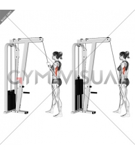 Cable Standing One Arm Triceps Extension (female)