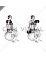 Dumbbell Alternating Seated Bicep Curl on Exercise Ball (female)
