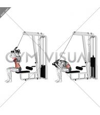 Cable Seated Crunch (female)