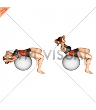 Crunch (on stability ball) (female)