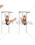Hanging Straight Twisting Leg Hip Raise (female)