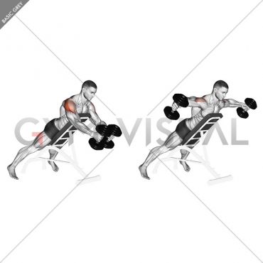 Dumbbell Reverse Fly