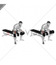Dumbbell Reverse Wrist Curl