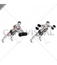 Dumbbell Rotation Reverse Fly