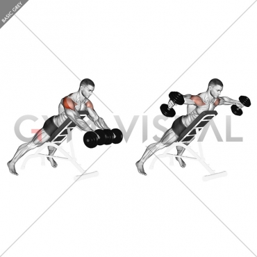 Dumbbell Rotation Reverse Fly