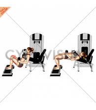 Lever Hip Thrust (with stepbox) (VERSION 2) (female)