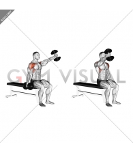 Dumbbell Seated Alternate Front Raise