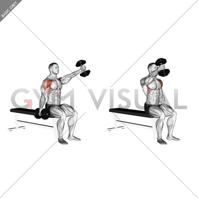 Dumbbell Seated Alternate Front Raise - Gym visual