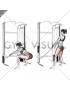 Cable Standing Hip Thrust (female)