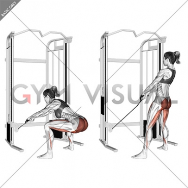 Cable Standing Hip Thrust (female)