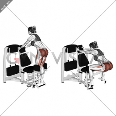 Lever Abduction Squat (female)