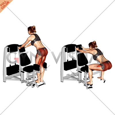 Lever Abduction Squat (female)