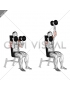 Dumbbell Seated Alternate Press