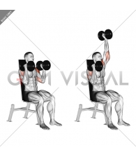 Dumbbell Seated Alternate Press