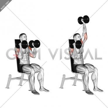 Dumbbell Seated Alternate Press