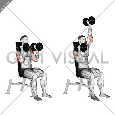 Dumbbell Seated Alternate Press - Gym visual