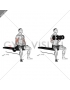 Dumbbell Seated Curl