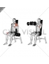 Dumbbell Seated Front Raise