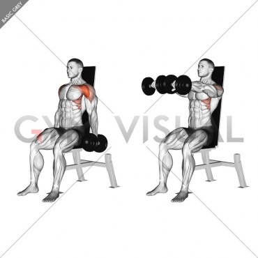 Dumbbell Seated Front Raise - Gym visual