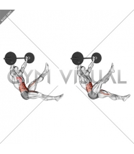 Barbell Sitted Alternate Leg Raise