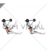 Barbell Sitted Alternate Leg Raise (female)