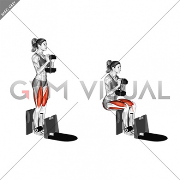 Dumbbell Supported Squat (female)