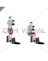Dumbbell Supported Squat