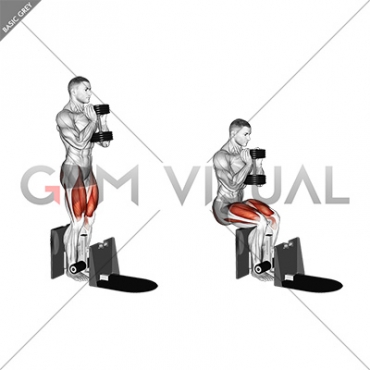 Dumbbell Supported Squat
