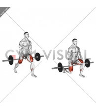 Barbell Split Squat (VERSION 2)