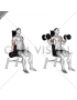 Dumbbell Seated Inner Biceps Curl