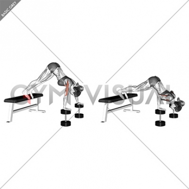 Pike Push-up (on Bench) (female)