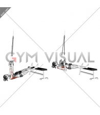 Suspender Weighted Inverted Row (female)