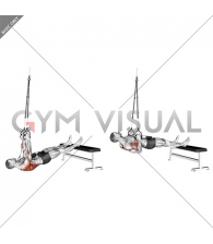 Suspender Weighted Inverted Row