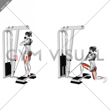 Cable Rear Lunge from Stepbox