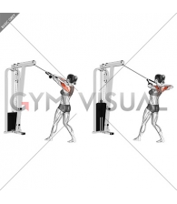 Cable Standing Rear Delt Row (with rope) (female)