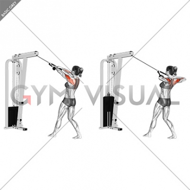 Cable Standing Rear Delt Row (with rope) (female)
