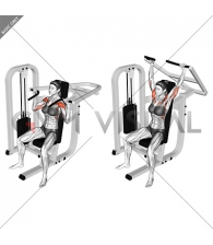Lever Seated Shoulder Press (female)