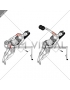 Dumbbell Incline One Arm Lateral Raise (female)