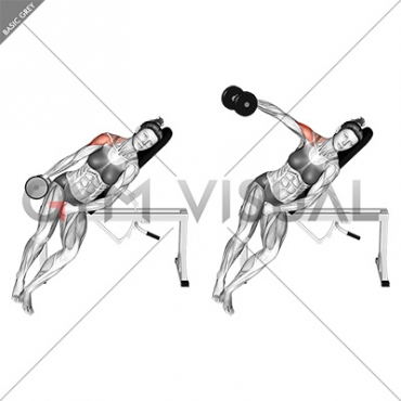 Dumbbell Incline One Arm Lateral Raise (female)