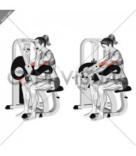 Lever Triceps Extension (VERSION 2) (female)