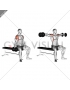 Dumbbell Seated Lateral Raise