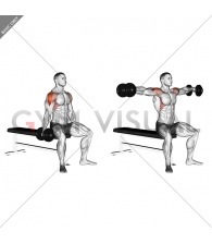 Dumbbell Seated Lateral Raise