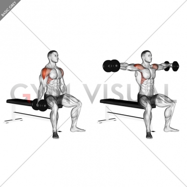 Dumbbell Seated Lateral Raise