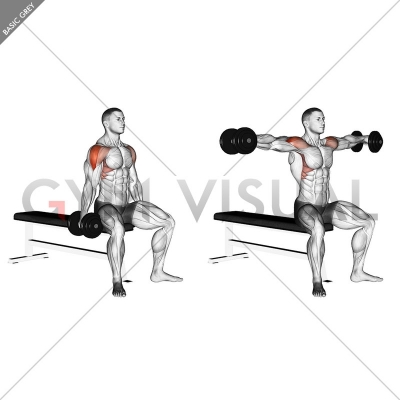 Dumbbell Seated Lateral Raise - Gym visual