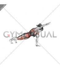 Front Plank with Arm Lift (push-up position) (female)